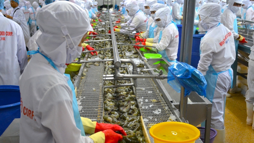 Kinh tế tư nhân ở Cà Mau sẽ vượt tốc độ tăng trưởng nền kinh tế